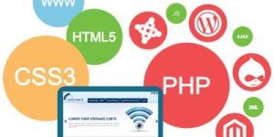 Web Development Services