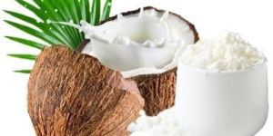 Coconut Milk Powder