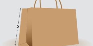Shopping Bag Size - L12