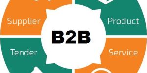 B2B Website Development Services