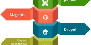 Cms Web Development Services