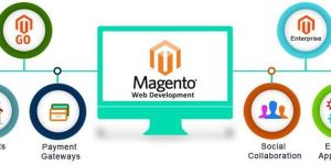 Magento Website Development Services