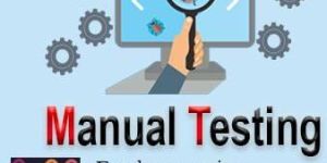 Manual Testing Online Training Services