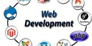 Web Development Services