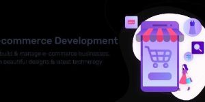 e-commerce Development Services