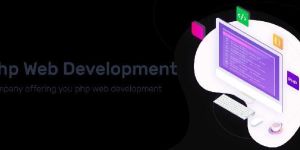 Php Development Services