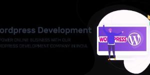 Wordpress Development Services