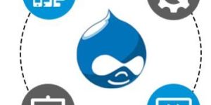 Drupal Development Services