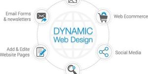 Dynamic Website Design Services