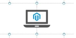 Ecommerce Web Development Services