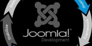 Joomla Web Development Services