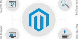 Magento Web Development Services