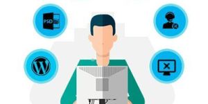 Wordpress Development Services