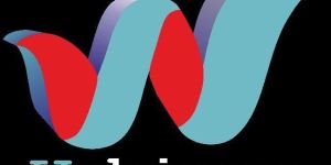 web designing & web development