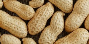 Shelled Groundnuts