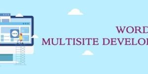 WordPress MultiSite Development Services