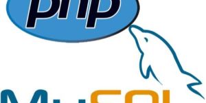 Php Development Service