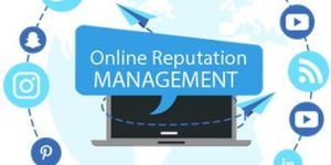 Online Reputation Management Services
