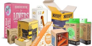 Food Packaging Boxes - Maruti Packaging