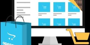 OpenCart Development Services