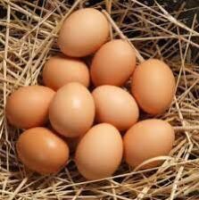 FARM FRESH BROWN EGGS - NATI EGGS
