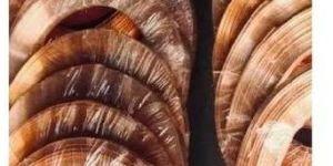 Copper Earthing Strip