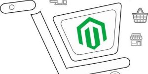 Magento Ecommerce Development Services
