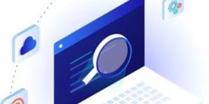 Wordpress Website Development Services