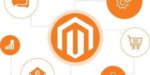 Magento Development Services