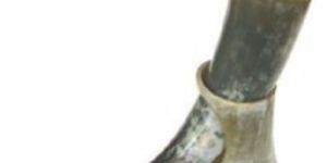 Drinking Buffalo Horn Mug, Glass Flower Pot