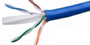 Belden Cat 6 UTP LAN Cable