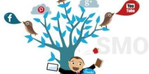Social Media Optimisation Services