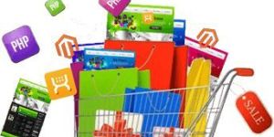 Shopping Website Development Services