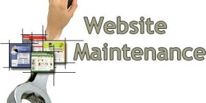 Website Maintenance Service