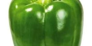 Fresh Green Capsicum