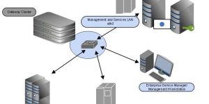 LAN Networking Services