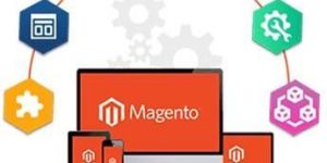 Magento Web Development Services