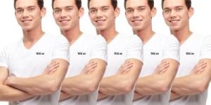 Wild We Economy Half sleeve cotton vest (Pack of 5) - L Size