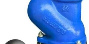 CI Ball Type Foot Valve