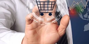 Ecommerce Development