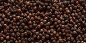 Black Pepper Seeds