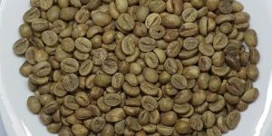 Green Coffee Beans