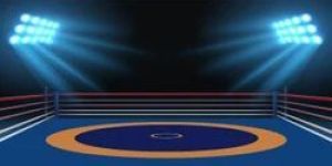 Wrestling Mat