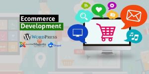 E Commerce Website Development