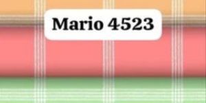 PC Printed Shirting Fabric