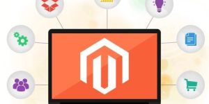 Magento Website Development Services
