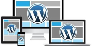 Wordpress Theme Development Services