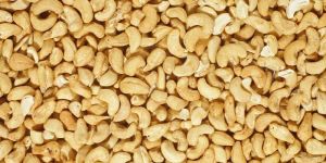 Cashew Nuts