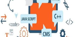 Php Web Development Services