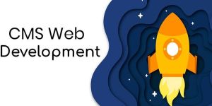 Cms Web Development Services